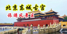 骚逼美女被操中国北京-东城古宫旅游风景区
